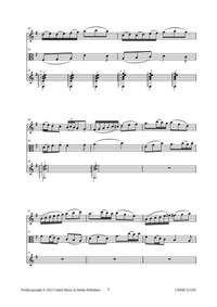 Gaetano Troccoli: Allegretto Spiritoso for Guitar, Flute, and Viola