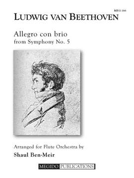 Ludwig van Beethoven: Allegro con brio from Symphony No. 5