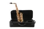 Leblanc Alto Saxophone - Intermediate LAS511 Product Image