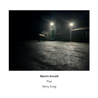 Martin Arnold: Flax