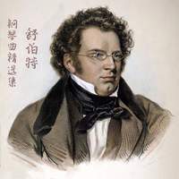 舒伯特 钢琴曲精选集 古典钢琴纯音乐 世界名曲轻音乐 无损独奏钢琴曲