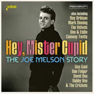 Hey, Mister Cupid - the Joe Melson Story