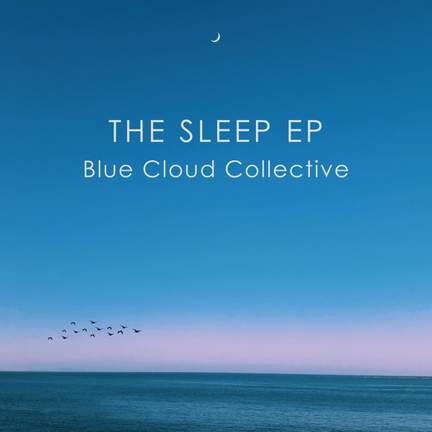The Sleep