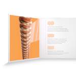 D'Addario: XS Phosphor Bronze Product Image