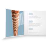 D'Addario XS Phosphor Bronze Product Image