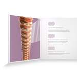 D'Addario XS Phosphor Bronze Product Image