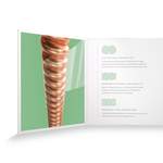 D'Addario XS Phosphor Bronze Product Image