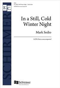 Mark Sedio: In a Still, Cold Winter Night