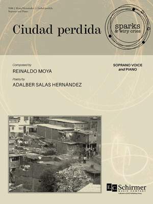 Reinaldo Moya: Ciudad perdida