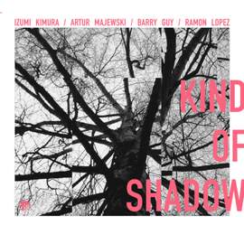 Kind Of Shadow