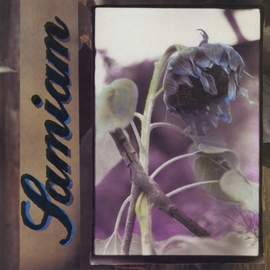 Samiam