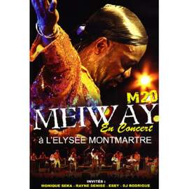M20 En Concert ? l'Elys?e Mont
