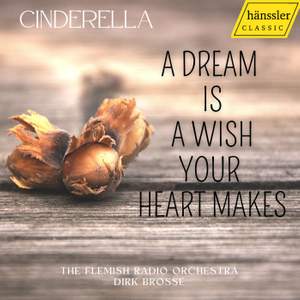 A dream is a wish your heart makes