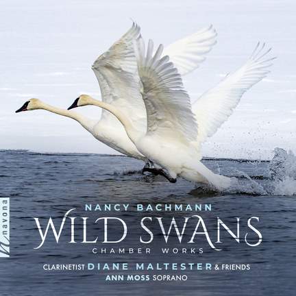 Wild Swans