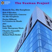 The Voxman Project