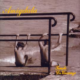 Amigdala