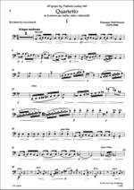 Ermanno Wolf-Ferrari: String Quartet in A minor Product Image