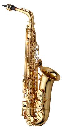 Yanagisawa Alto Saxophone - Brass
