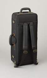 Yanagisawa AWO2 Alto Saxophone Product Image
