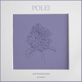 Polei