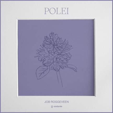 Polei