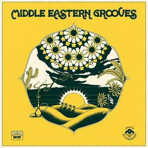 Middle Eastern Grooves (Selected By DJ Kobayashi)