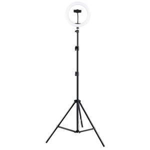 Cad telescoping ring light with phone holder