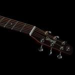 Seagull Entourage Acoustic Guitar - Autumn Burst Product Image