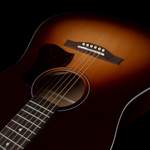 Seagull Entourage Acoustic Guitar - Autumn Burst Product Image