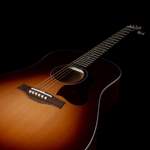 Seagull Entourage Acoustic Guitar - Autumn Burst Product Image