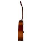 Seagull Entourage Acoustic Guitar - Autumn Burst Product Image