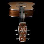 Seagull Maritime SWS Electro-Acoustic Guitar - Natural Product Image