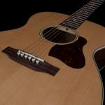 Art & Lutherie Legacy Product Image