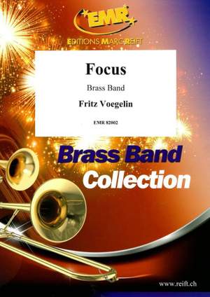 Fritz Voegelin: Focus