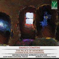 Danilo Comitini:The Palace of Memories