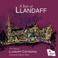 A Year at Llandaff