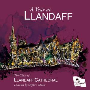 A Year at Llandaff