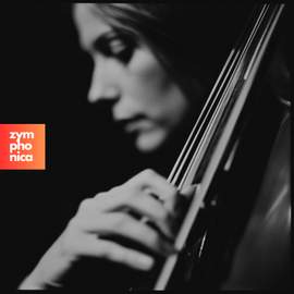 Hits Go Classical - Vol.2