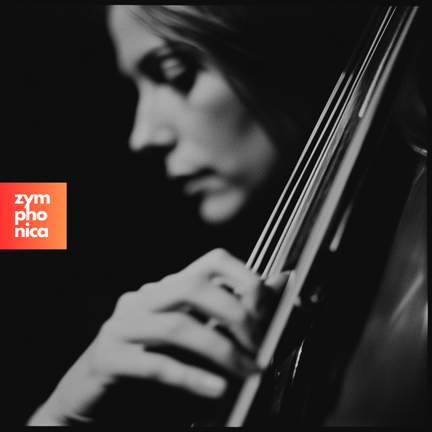 Hits Go Classical - Vol.2