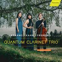 Quantum Clarinet Trio