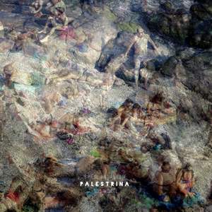 Palestrina - Spem in alium