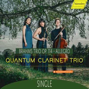 Brahms: Trio Op. 114 - Allegro
