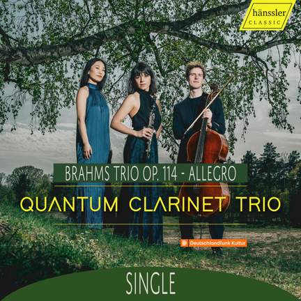 Brahms: Trio Op. 114 - Allegro