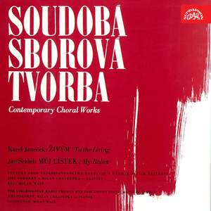 Janeček, Seidel: Contemporary Choral Works