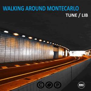 Walking Around Montecarlo