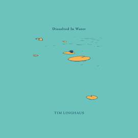 Dissolved In Water