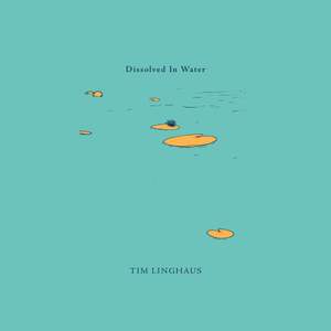 Dissolved In Water