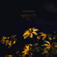 re:birth, Vol. 1