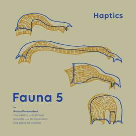 Haptics