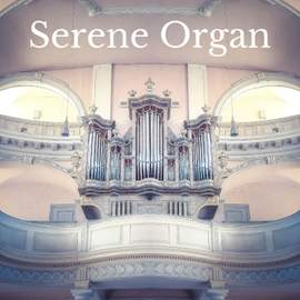 Serene Organ